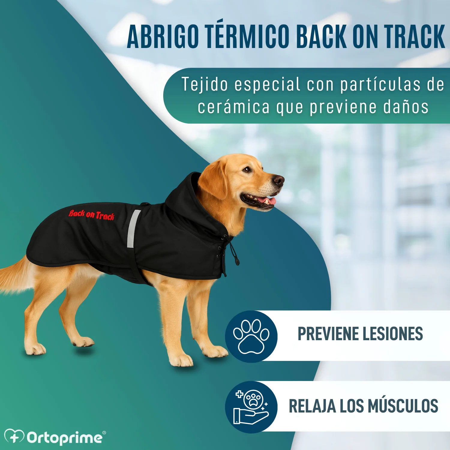 Imagen del producto 5