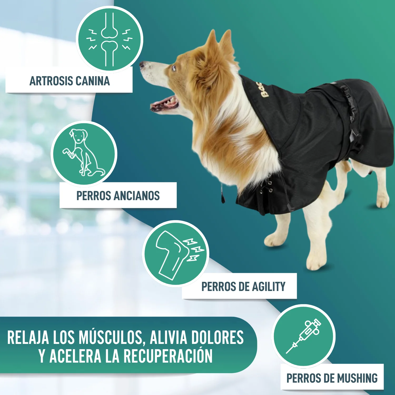 Imagen del producto 7