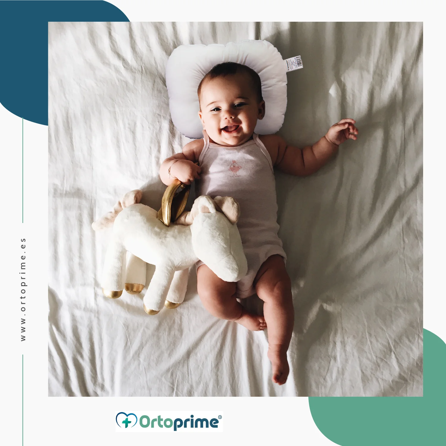 Imagen del producto 6