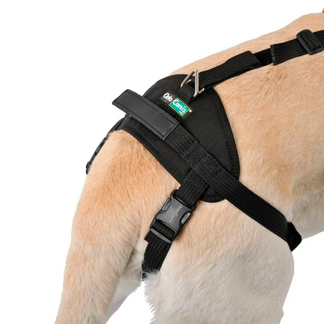 Imagen del producto 4