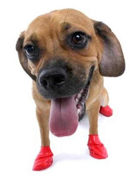 Imagen del producto 4