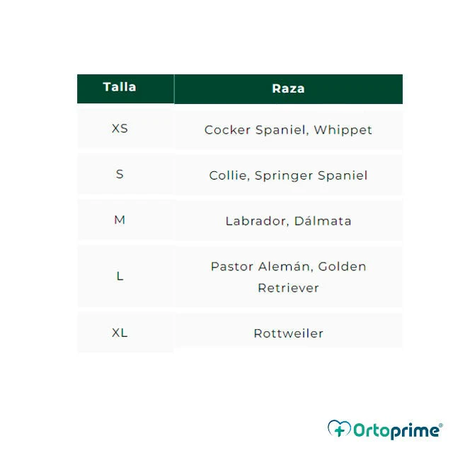 Imagen del producto 5