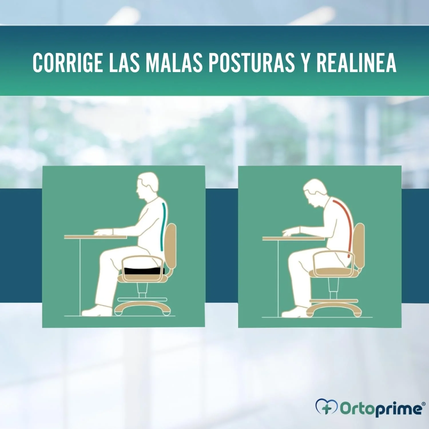 Imagen del producto 6