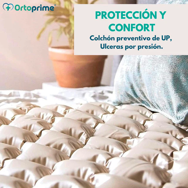 Imagen del producto 9