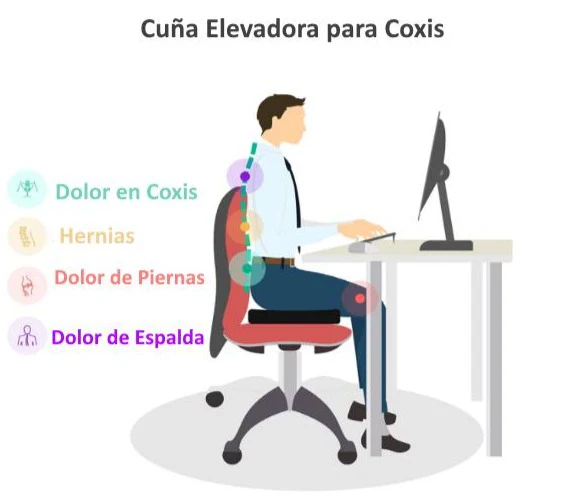 Imagen del producto 4