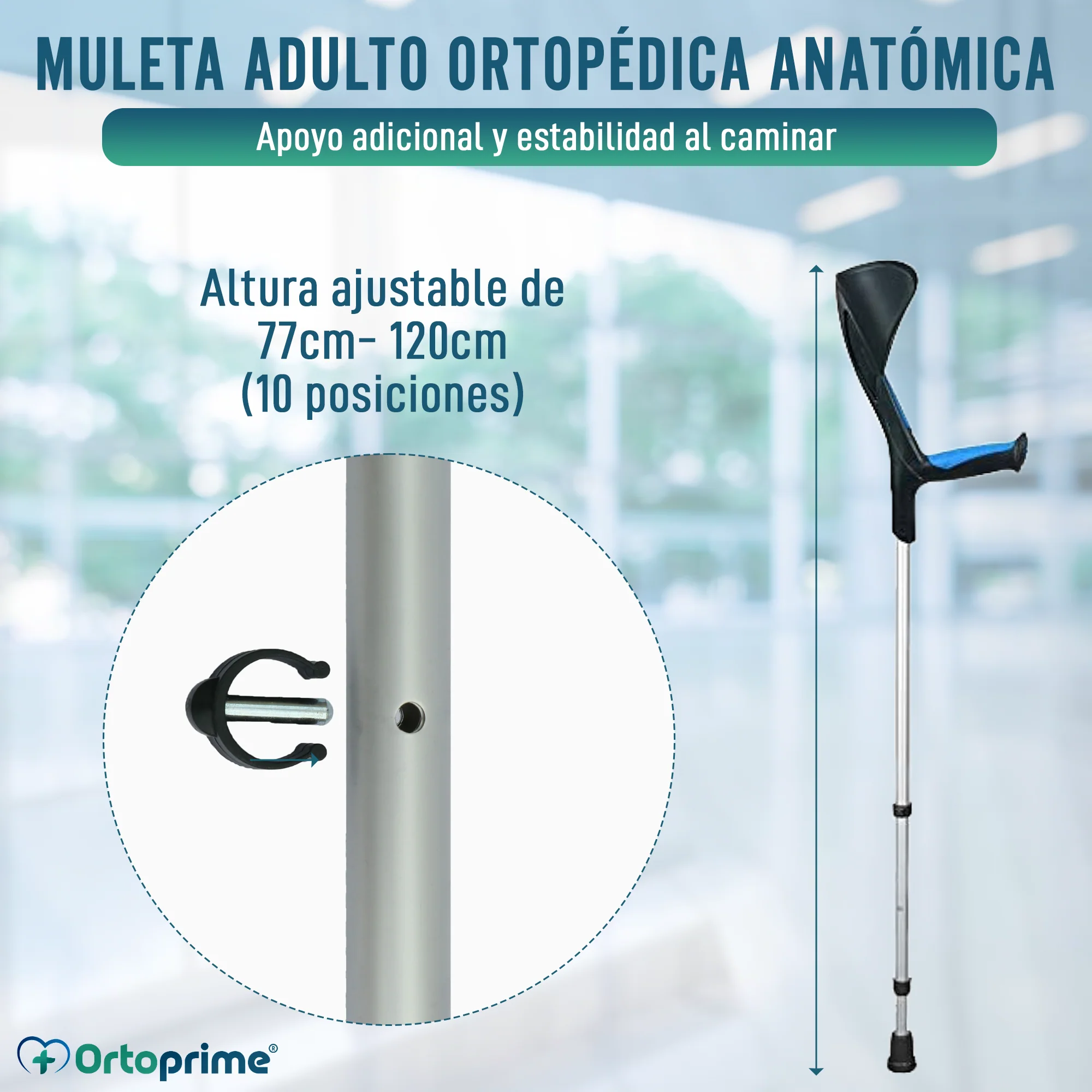 Imagen del producto 7