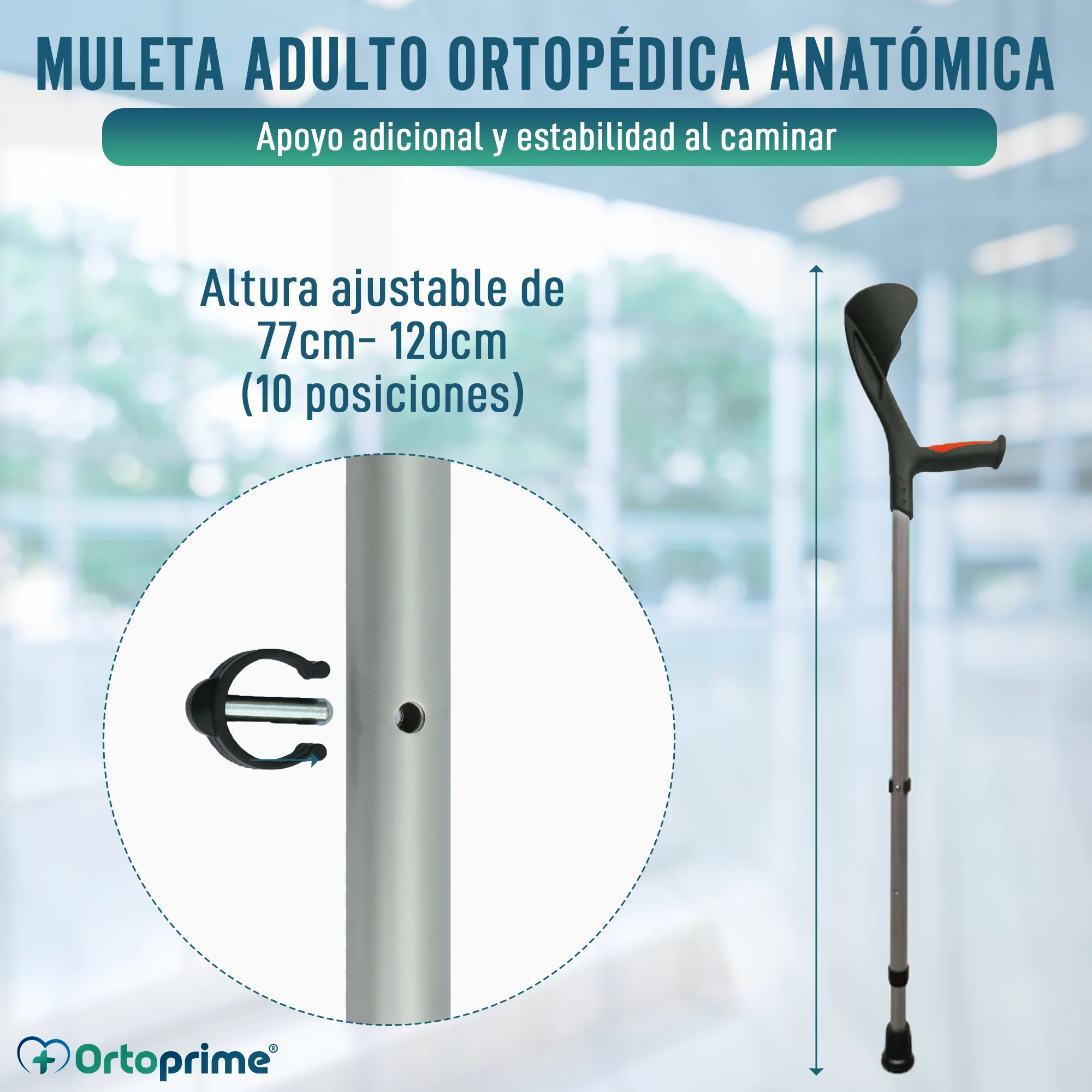 Imagen del producto 7