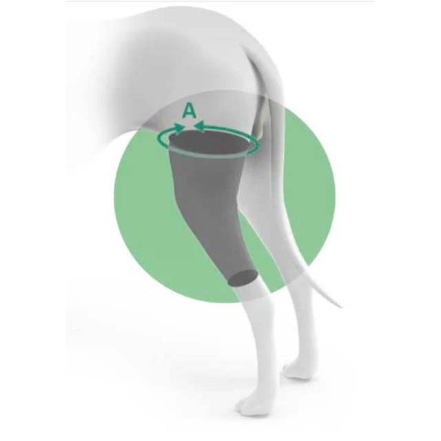 Imagen del producto 7