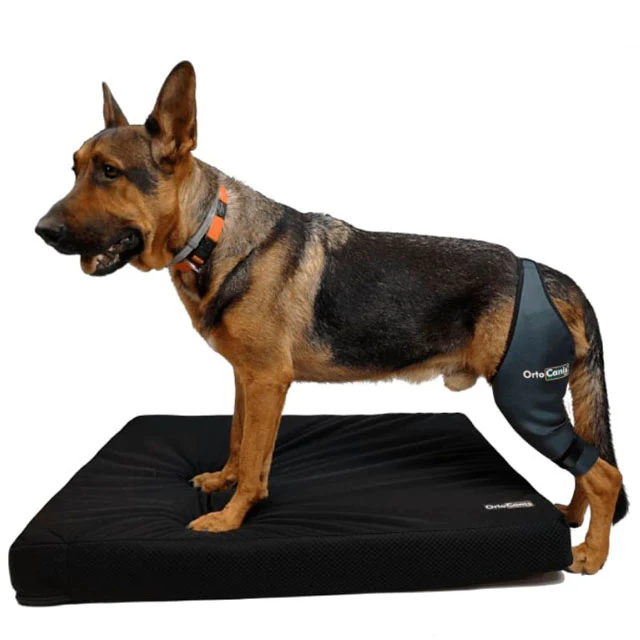 Imagen del producto 8