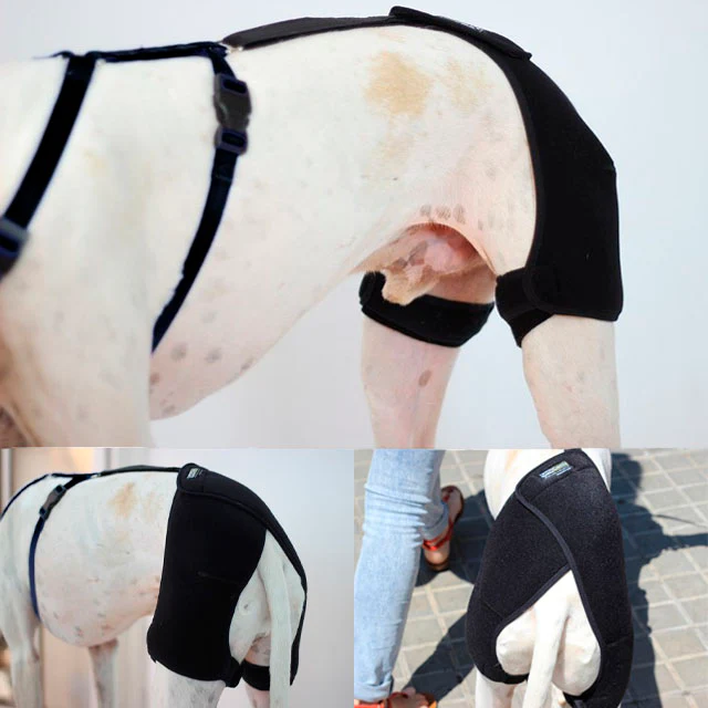 Imagen del producto 5